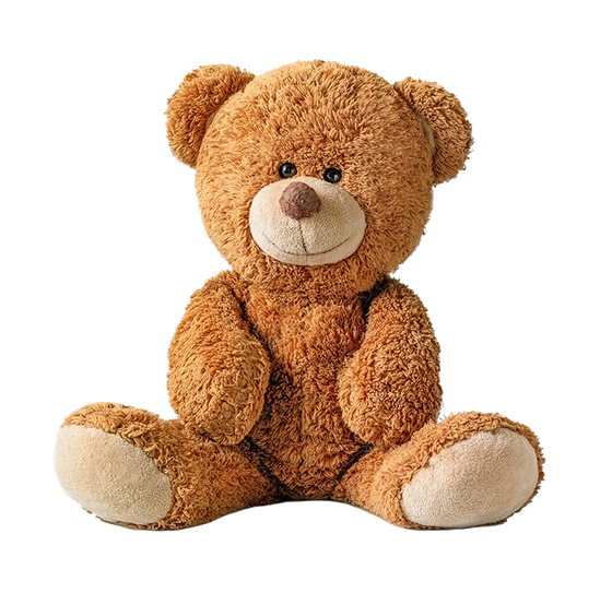 Teddy bear